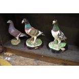 Three resin pigeons, 21cm high.