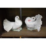 A pair of Rosenthal doves, 14.5cm high, (restoration to beak of one).