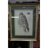 Charles Frederick Tunnicliffe, 'Hawkes and Falcons', signed in pencil and numbered 69/90,