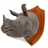 Taxidermy: Rowland Ward: A rare Indian Rhino trophy on shield, with details Assam 1901, 98cm high