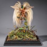 Taxidermy: An impressive Lesser bird of Paradise in mirrored case, circa 1900, 78cm high by 56cm