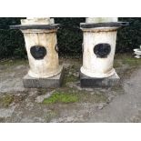 Pedestals and stands: A pair of rare cast iron pedestals, Irish, 19th century, with applied