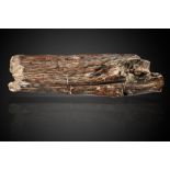 Minerals: A unusual fossil wood branchBurma, approx. 100 mya84cm long