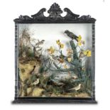 Taxidermy: A Victorian mixed case of British birds circa 187096cm high by 79cm wide