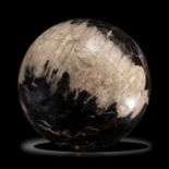 Minerals: A large fossil wood sphereIndonesia28cm diameter