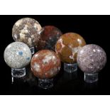 Minerals: A collection of six mineral spheres including K| Cobra jasper and fossil woodthe largest