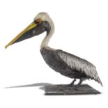 Taxidermy: A full mount Brown Pelicanlate 20th century72cm high