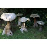 A set of five extra large mushrooms