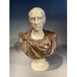 A variegated plaster bust of a Roman senator