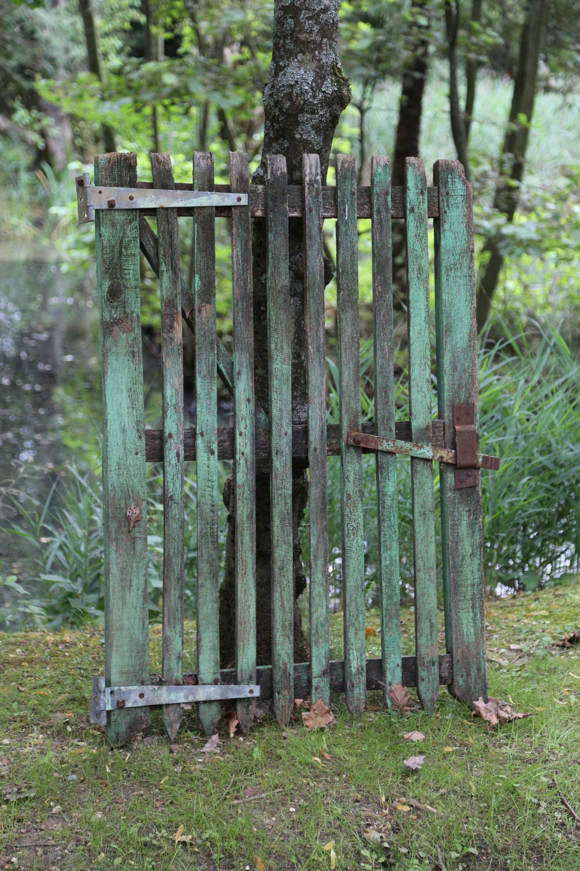 Two green painted wooden gates