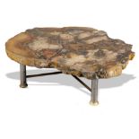 A fossil wood table