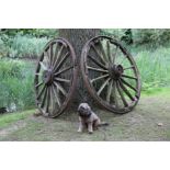 A pair of iron rimmed wooden wagon wheels