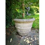 A similar smaller pair of composition stone tapering cylindrical planters