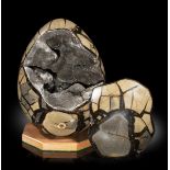 A large Septarian egg on stand