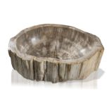 Two fossil wood basins