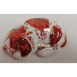 Crown Derby Dog Paper Weight Gold Stop