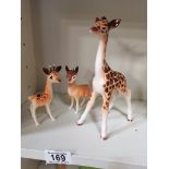 3 Beswick Giraffs