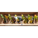 11 Parrots