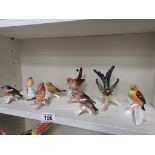 7 misc Goebel Birds