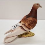 Beswick Pigeon 1383 Matt Brown