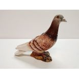 Beswick Pigeon 1383 Gloss Brown