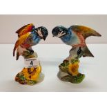 2XBeswick Chaffinch 14cm 929 EXC