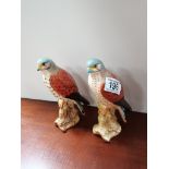 2 Beswick Kestrels 2316 1 gloss 1 matt