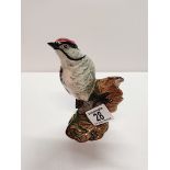 Beswick Lesser Spotted Woodpecker 2420