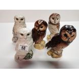 5 x Royal Doulton Whyte & Mackay Owl Decanters (1 full)