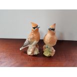 2 Beswick Cedar Waxwings 1 gloss 1 matt