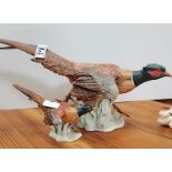 Goebel Pheasant CV98 (1968) 46cm long & CV120 22cm