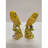 Beswick 2X Budgies (yellow) 2357 18cm 1216 & 1217 EXC