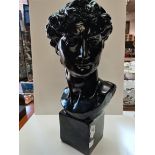 60cm high Adonis Bust