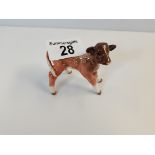 Beswick Derry Shorthorn calf