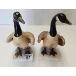 Goebel pair of Canadian Geese