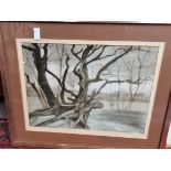 Vintage print " A Study of a tree marked "Vincent "