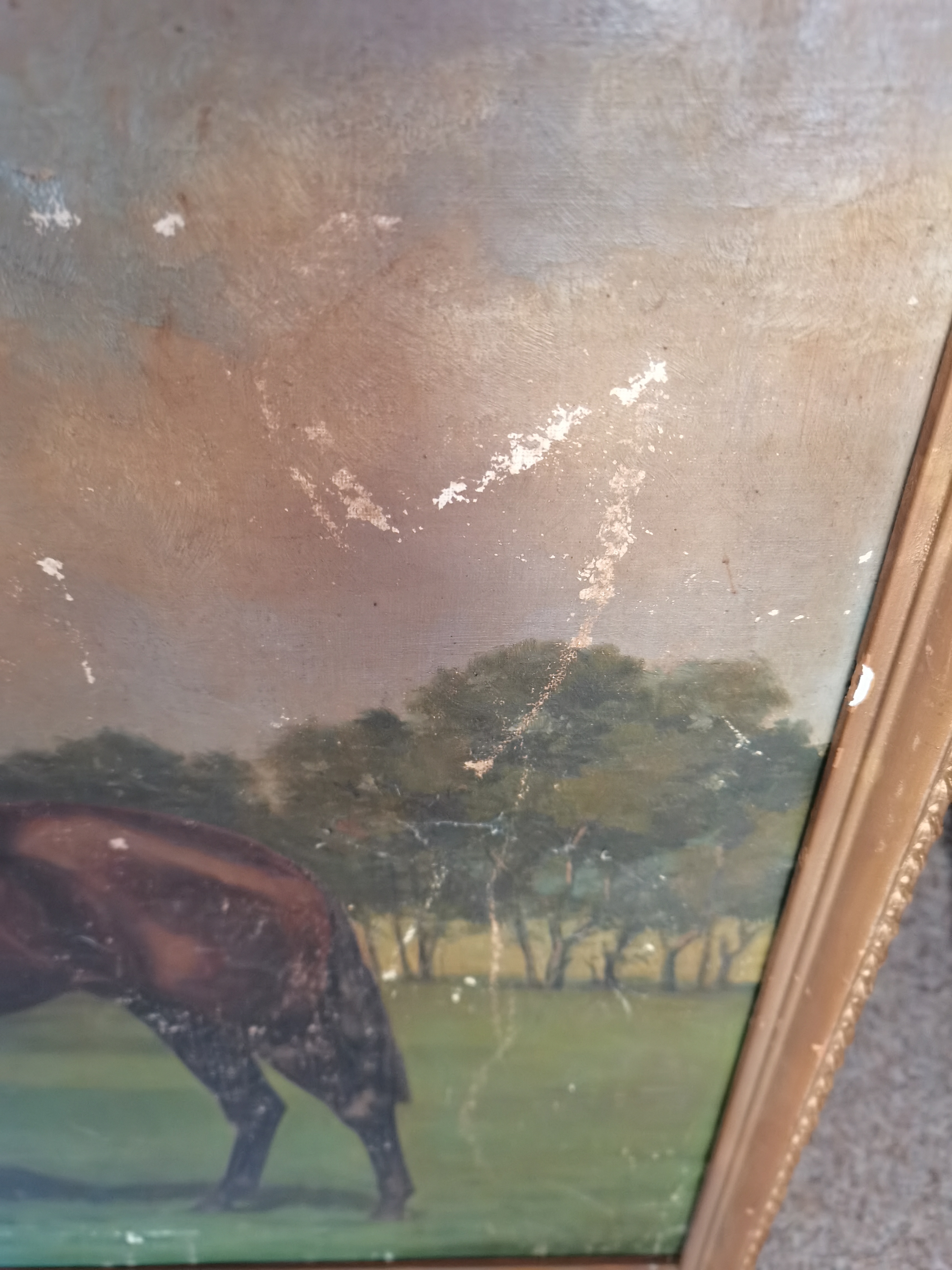 A pair of vintage oil on canvase of Race HorsesClarence Hailey newmarket ( slight damage ) - Image 9 of 15