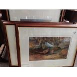 Set of 3 Archibauld Thorburn ltd edition prints