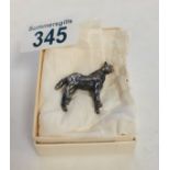 Birmingham Silver minature Horse