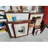 Large collection of prints and mirrors