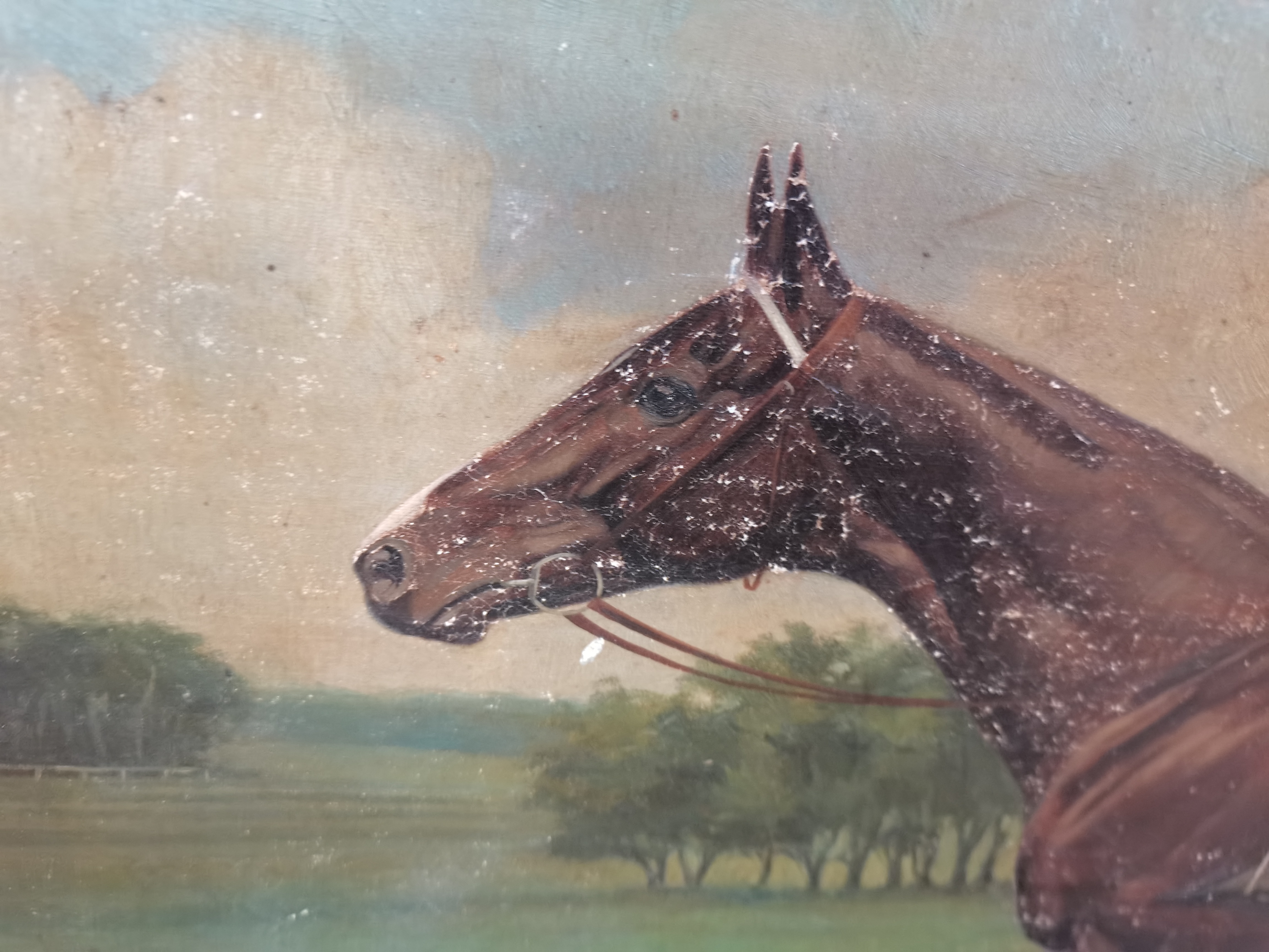 A pair of vintage oil on canvase of Race HorsesClarence Hailey newmarket ( slight damage ) - Image 12 of 15