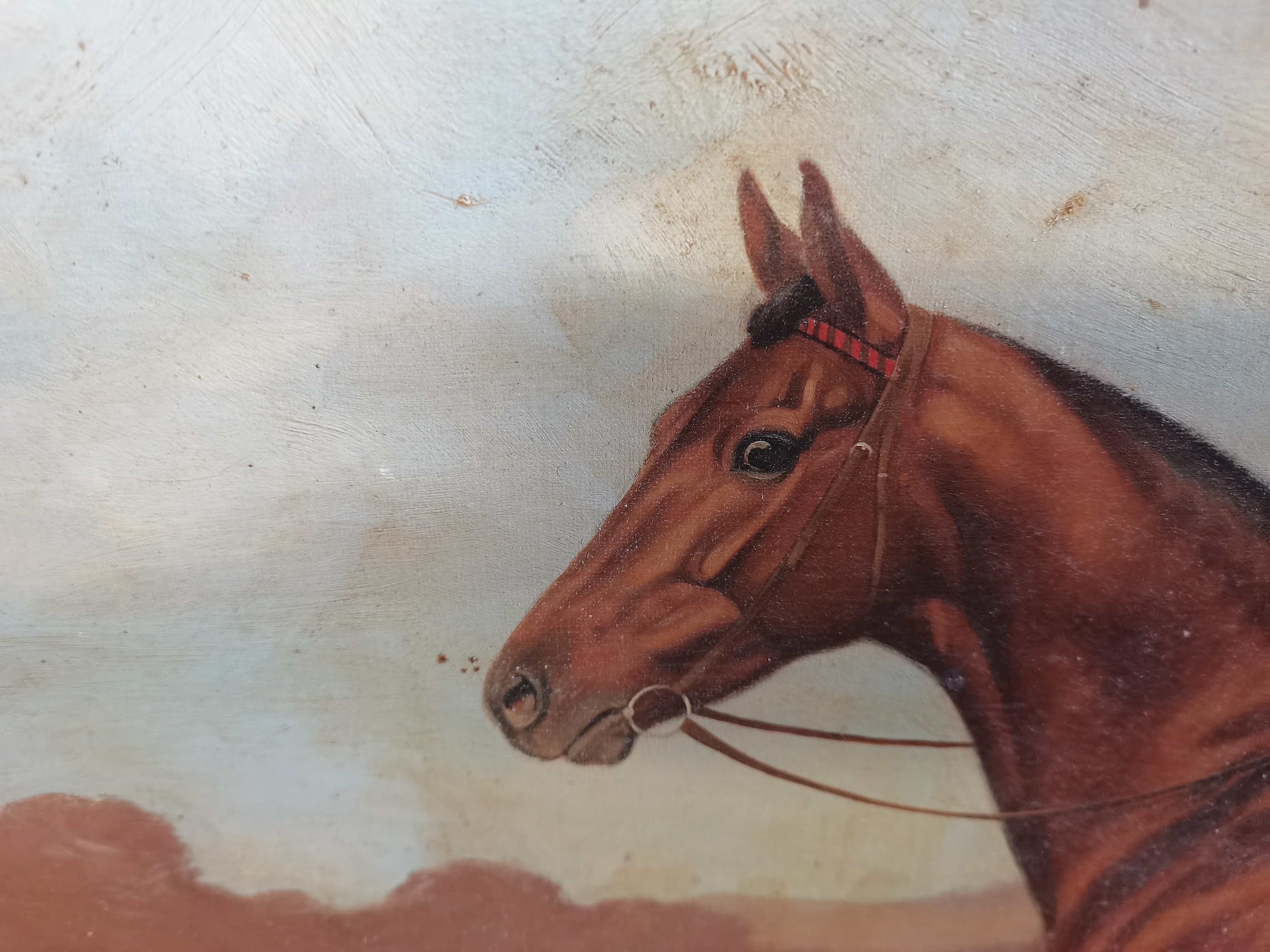 A pair of vintage oil on canvase of Race HorsesClarence Hailey newmarket ( slight damage ) - Image 11 of 15