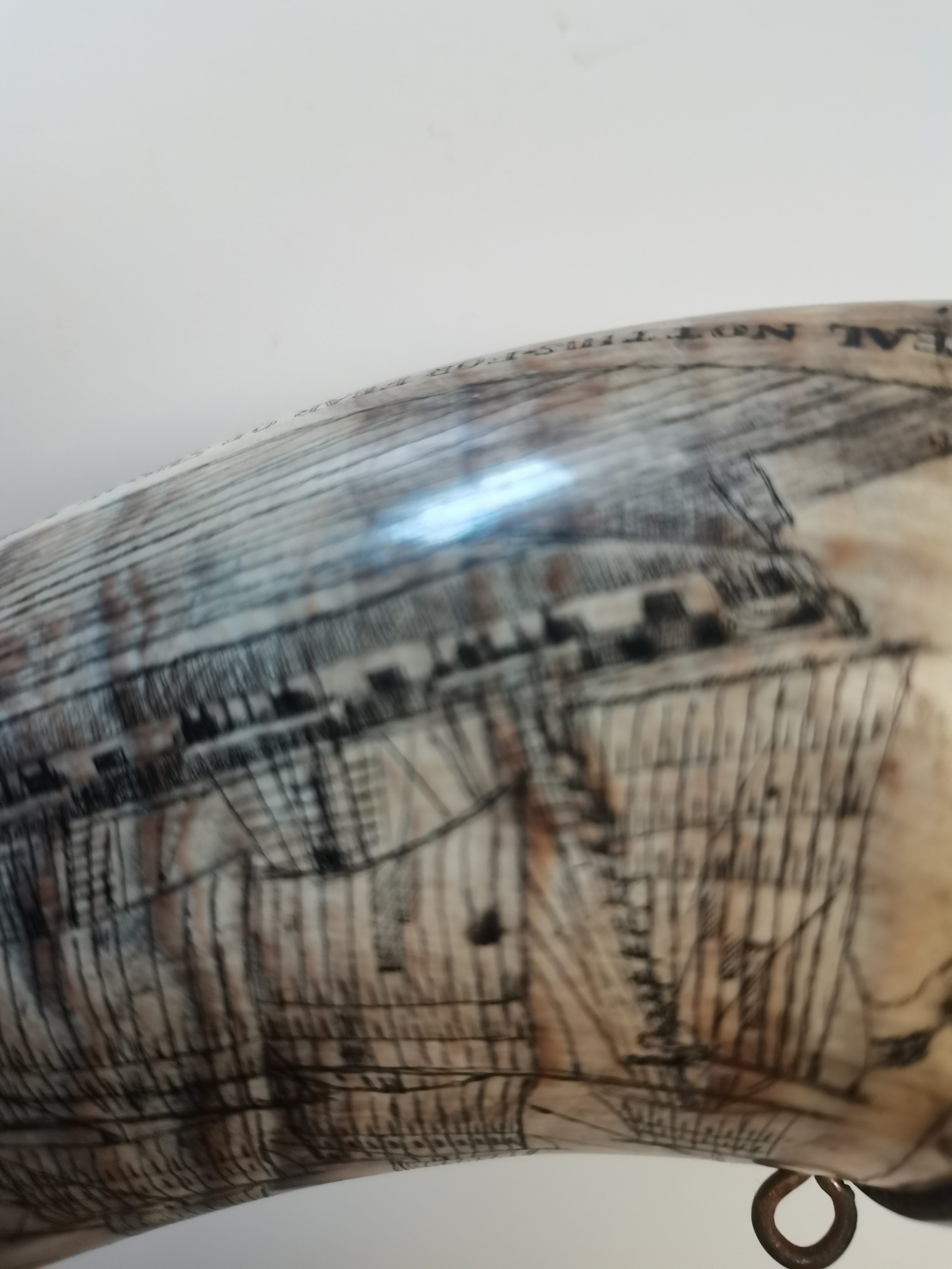 Scrimshaw style horn marking 1785 HMS DIDO - Image 7 of 8