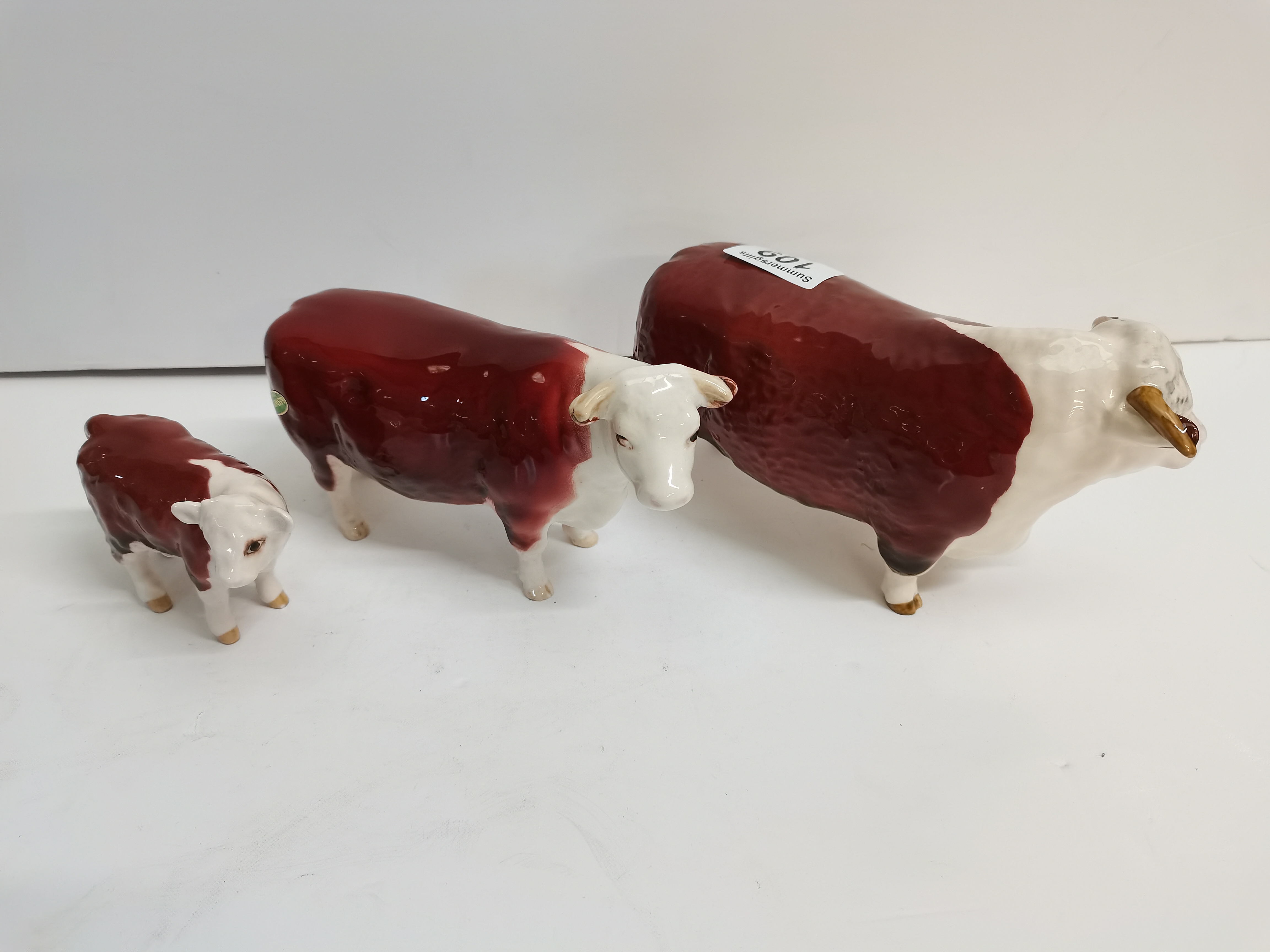 A trio of Hereford cows - Image 2 of 5