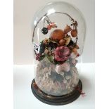 Antique glass dome 37cm high