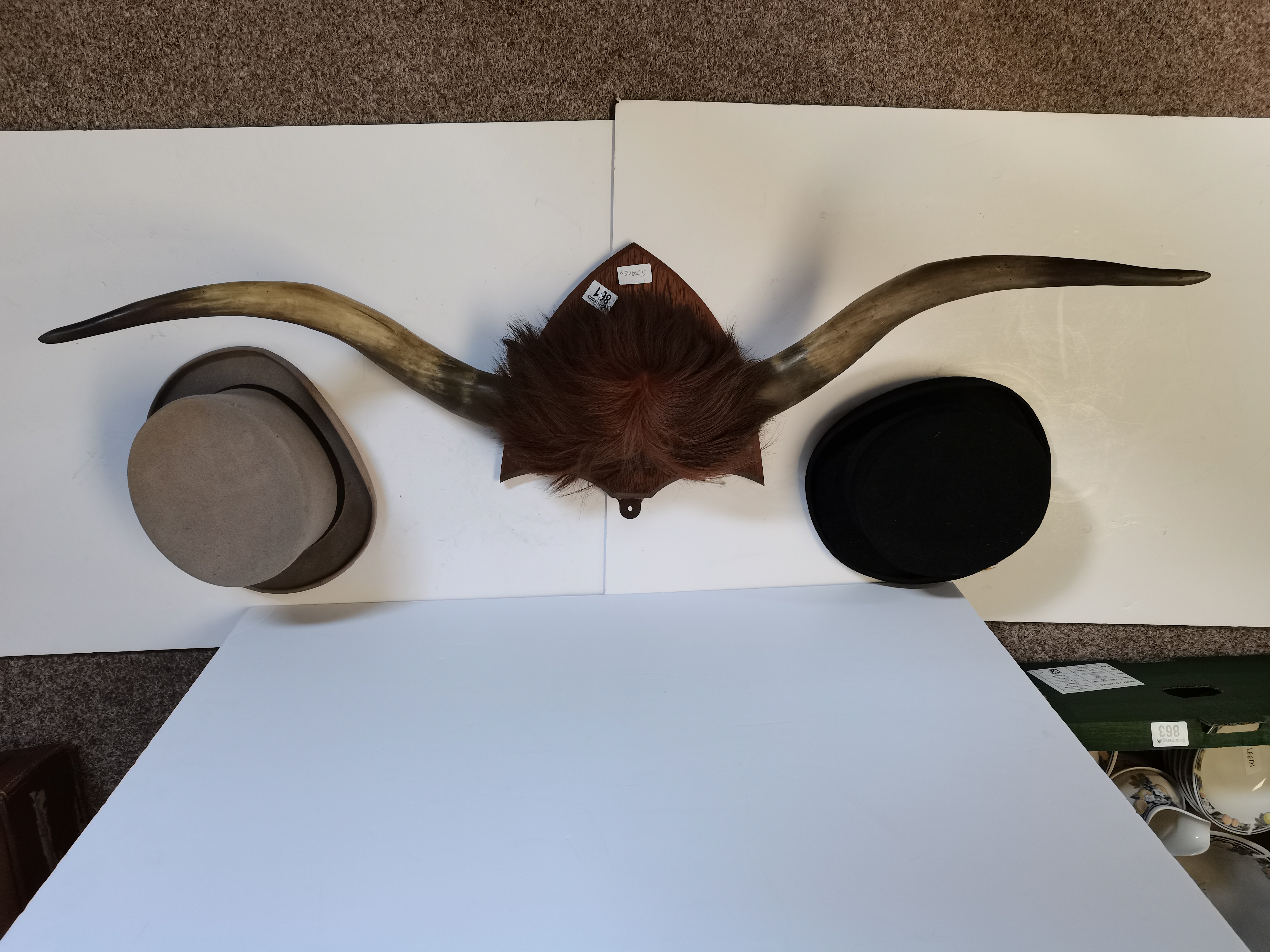 Buffalo Horns On Wooden Plaque with 2 Hats