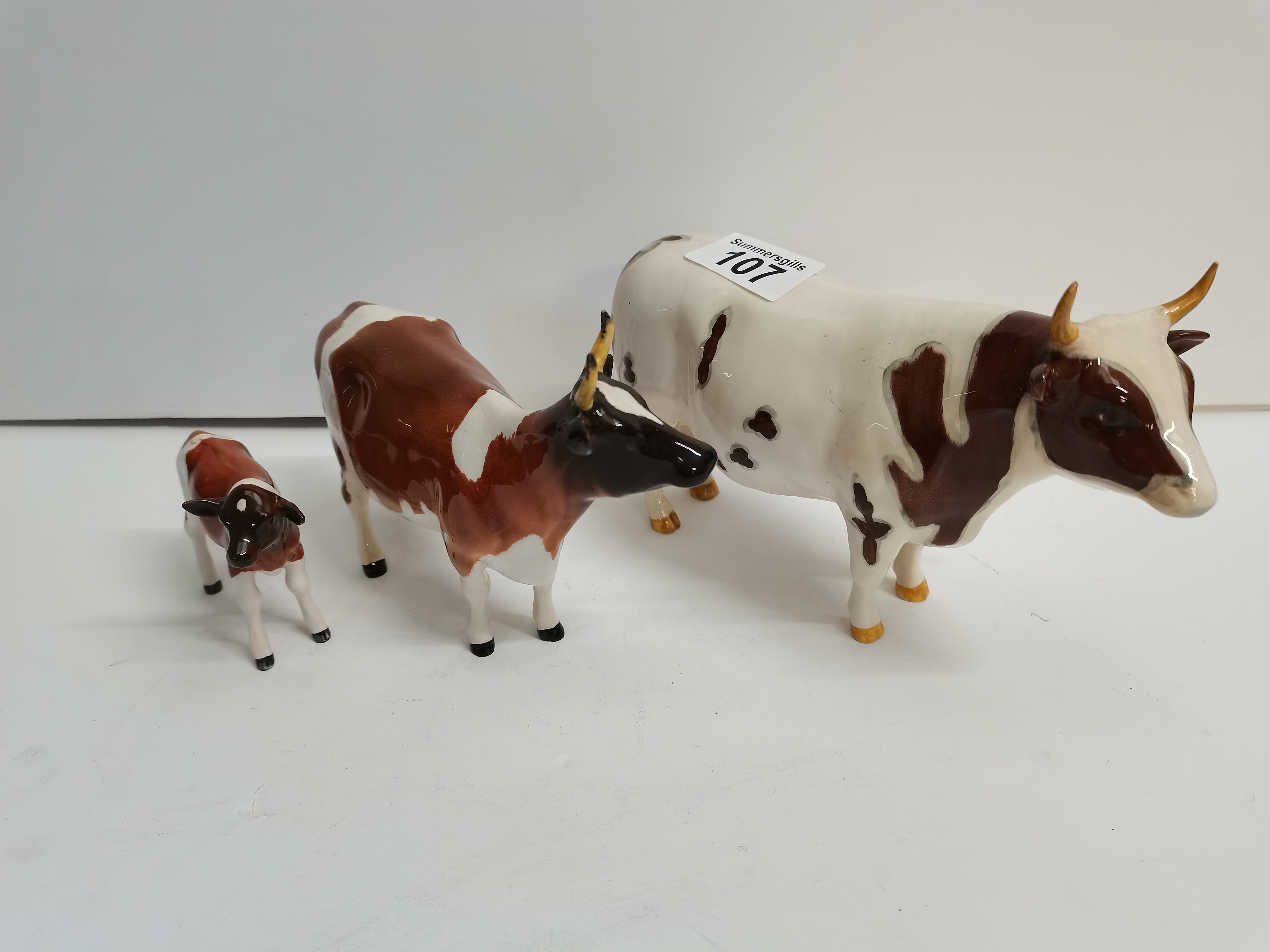 A trio of Ayrshire cows