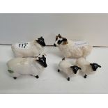 3 x Beswick sheep