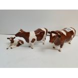 A trio red Fresian cows