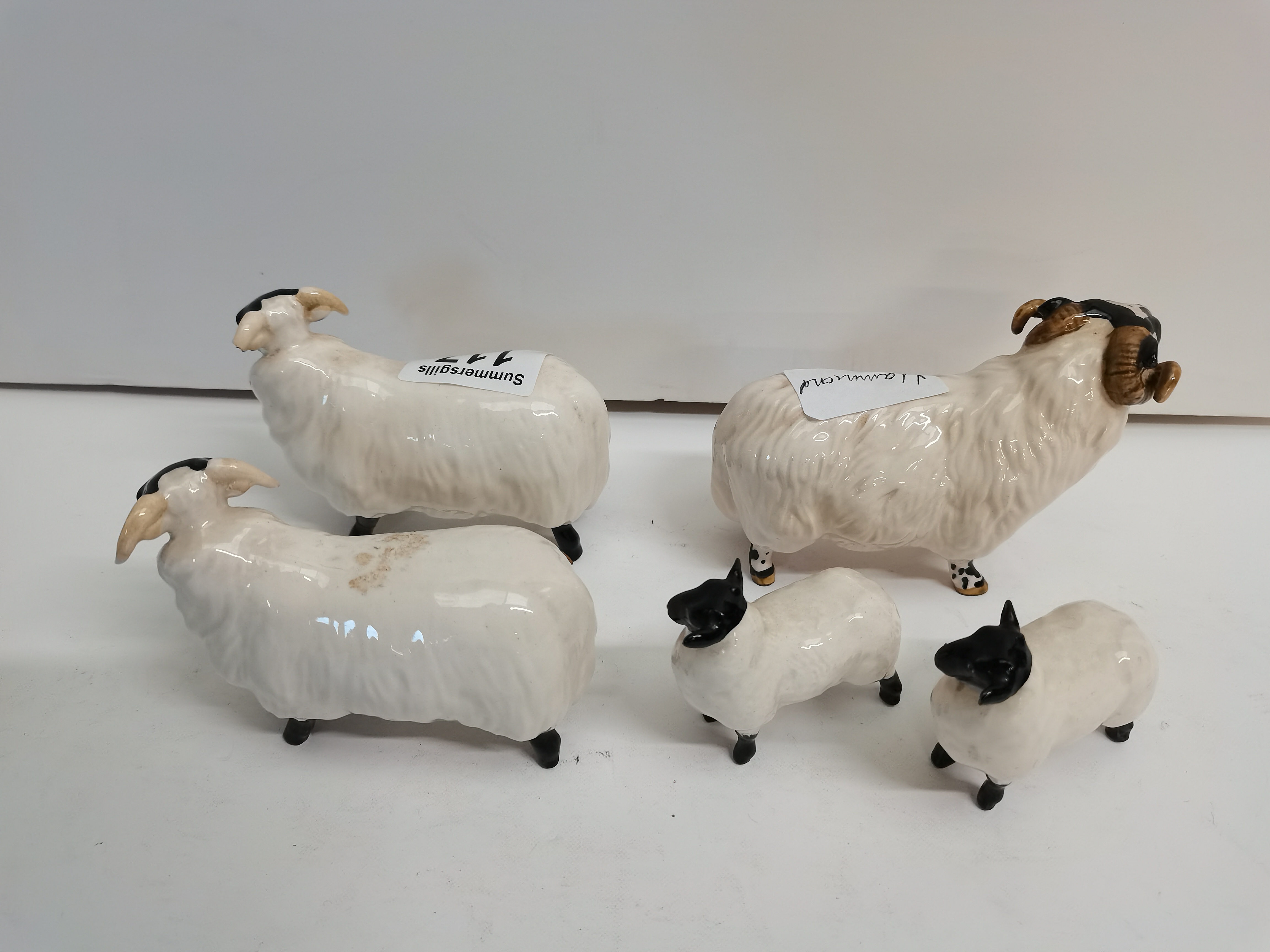 3 x Beswick sheep - Image 2 of 5